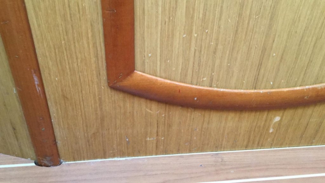 WhatsApp Image 2020-01-30 at 18.48.05 (1)