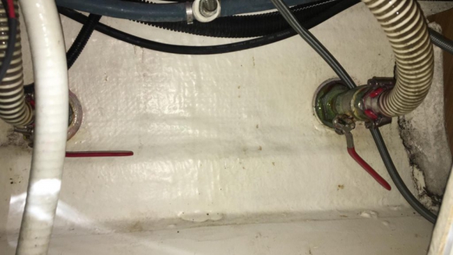 WhatsApp Image 2020-01-30 at 18.48.07