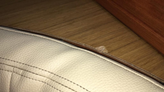 WhatsApp Image 2020-01-30 at 18.48.07 (2)