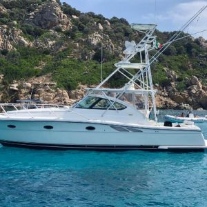 Barche a motore usate in Sardegna: Tiara 3800 Open TTS